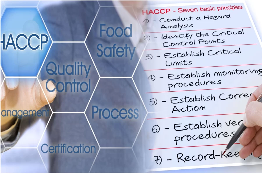 HACCP a Management Responsibility. Written by Philip Wadsworth of Workforce Training.